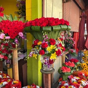 Meet your Posher, Lissette